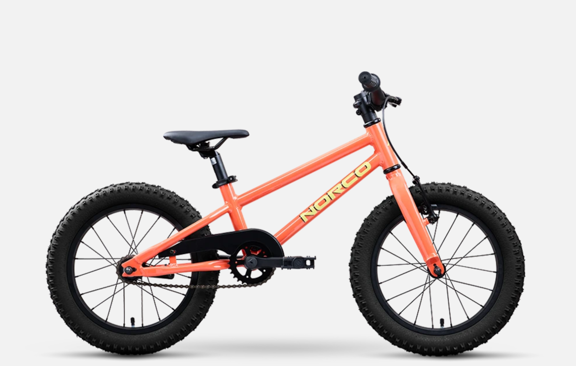 Trail LES NORCO STORM